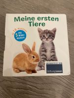 Mini-Bücherwürfel Tiere Baden-Württemberg - Neckarsulm Vorschau