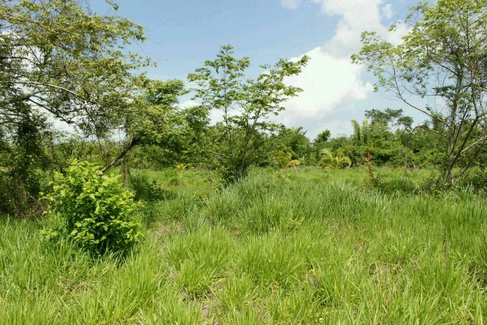 Schönes Grundstück im warmen & sonnigen Belize in Lage