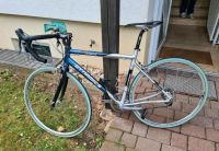 Herren Rennrad Dynamics RSL Ultimate Carbon - Top Zustand Bayern - Tirschenreuth Vorschau