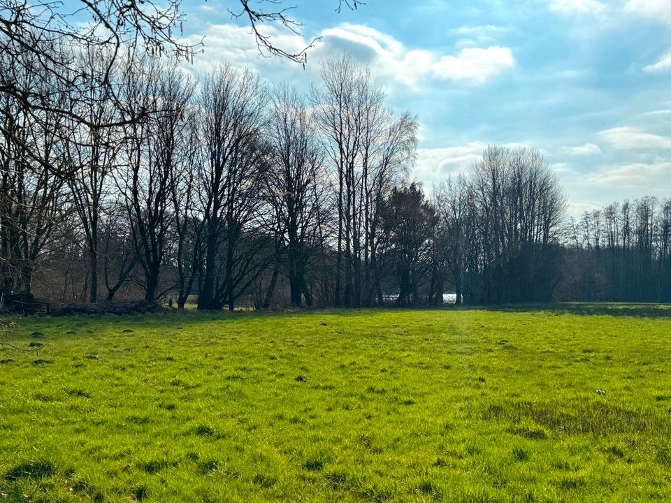 Ehemaliges Bauernhaus für Pferdefreunde nähe Heidesee in Faßberg