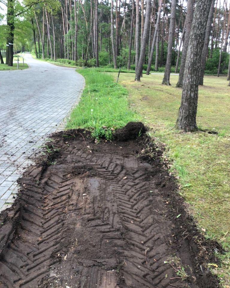 Gartenarbeiten, Pflaster, Baggern... uvm. Kostenlose Besichtigung in Hagen am Teutoburger Wald