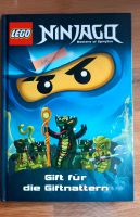 Verschiedene Ninjago Bücher Hessen - Alsfeld Vorschau