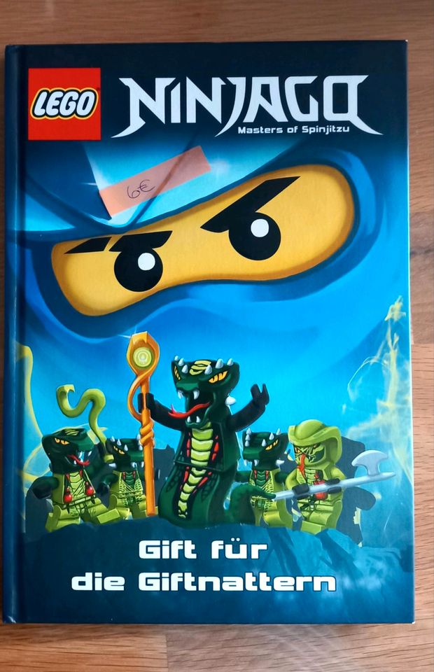 Verschiedene Ninjago Bücher in Alsfeld