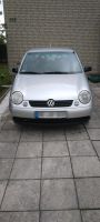 Auto VW Lupo 1.4 mpi Nordrhein-Westfalen - Kirchlengern Vorschau