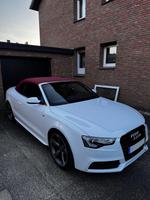 Audi A5 Cabrio Nordrhein-Westfalen - Halle (Westfalen) Vorschau