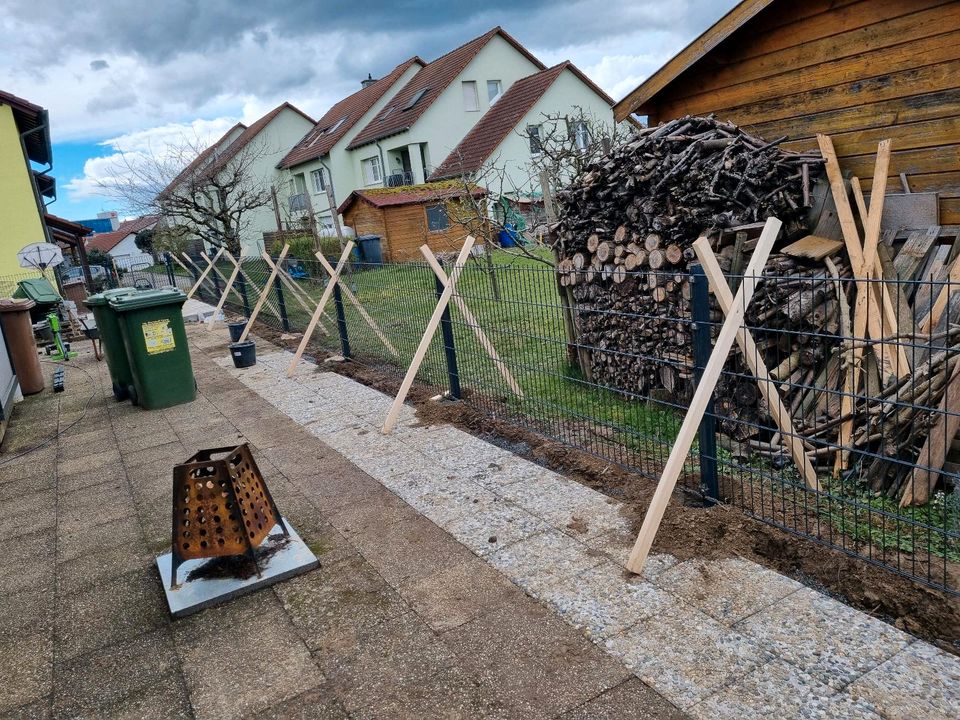 Gardenpflege& pflasterarbeiten& baggerarbeit in Neuenstein