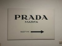 Prada Leinwand Rheinland-Pfalz - Trier Vorschau