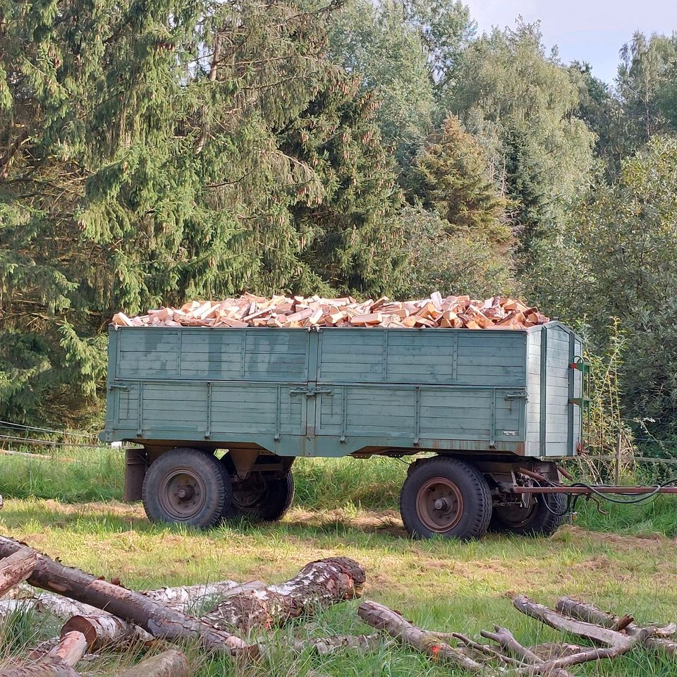 Kaminholz, Feuerholz,  Brennholz in Rosengarten