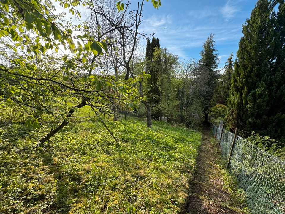 Gartengrundstück in Hanglage zu verpachten in Stuttgart