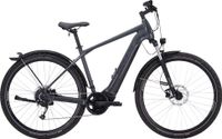 Bulls Cross Flyer EVO 625 WH Diamant (Grau) 2022 Größe 60cm UV Bayern - Würzburg Vorschau