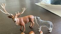 Verschiedene Schleich Figuren (Wolf, Hirsch) Nordrhein-Westfalen - Weilerswist Vorschau