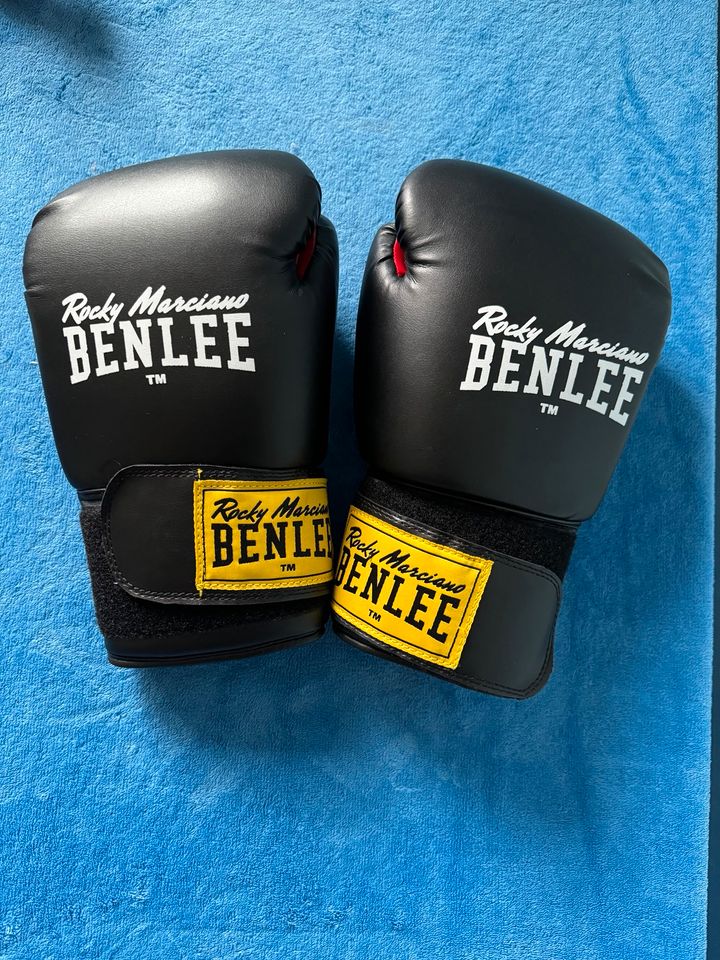 BENLEE TM Rocky Marciano Boxhandschuhe ⭐️NEU⭐️ in Malborn