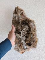 versteinertes Holz Rheinland-Pfalz - Kirschweiler Vorschau