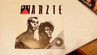 LP Schallplatte Single Die Ärzte Thüringen - Triptis Vorschau