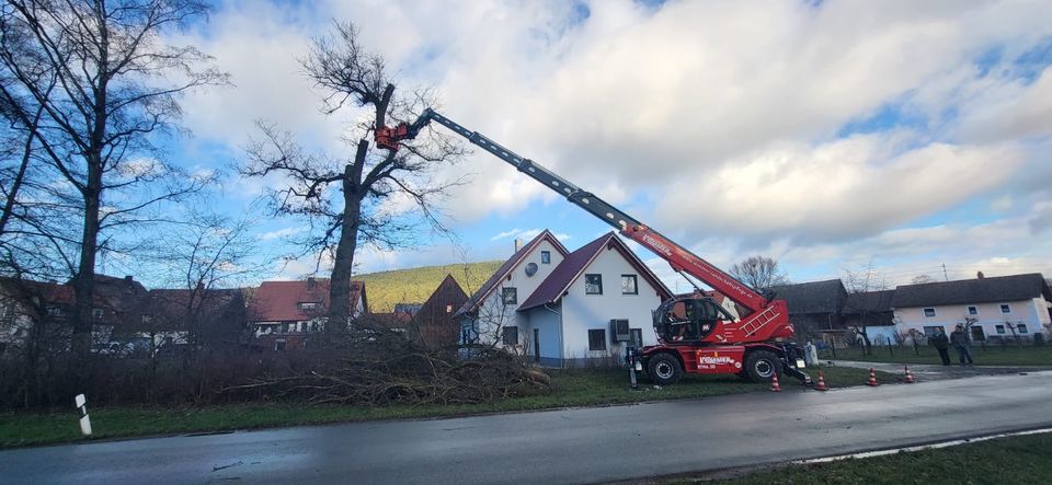 Baumpflege Baumfällung Fällkran Wimmer in Altenkunstadt
