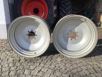 2x Schlepperfelgen 15x30 8 Loch 205mm vollverschweißt Deutz Bayern - Witzmannsberg Vorschau