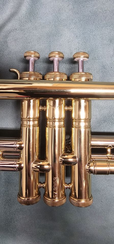 Trompete / Jazztrompete Musica Steyr-Austria (Cerveny) in Sebnitz