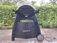 Weber Elektrogrill Q2400 Hessen - Darmstadt Vorschau