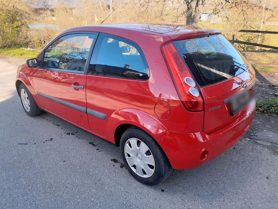 Ford Fiesta in Deggenhausertal