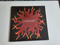 Vinyl Sammlung Hier LP Sunny Day Real Estate / How It Feels To Be Hessen - Mühlheim am Main Vorschau