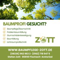 Sturmschaden Baumfällung Problembaum Rodung Fällung Schneiden Bayern - Fischach Vorschau