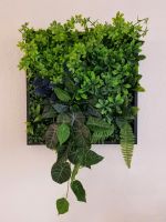 Wandbild  Kunstpflanzen 3D Kunst Pflanzen Bild Deko ab 39€ Nordrhein-Westfalen - Herford Vorschau