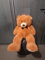 Sunkid Teddybär Hessen - Hanau Vorschau