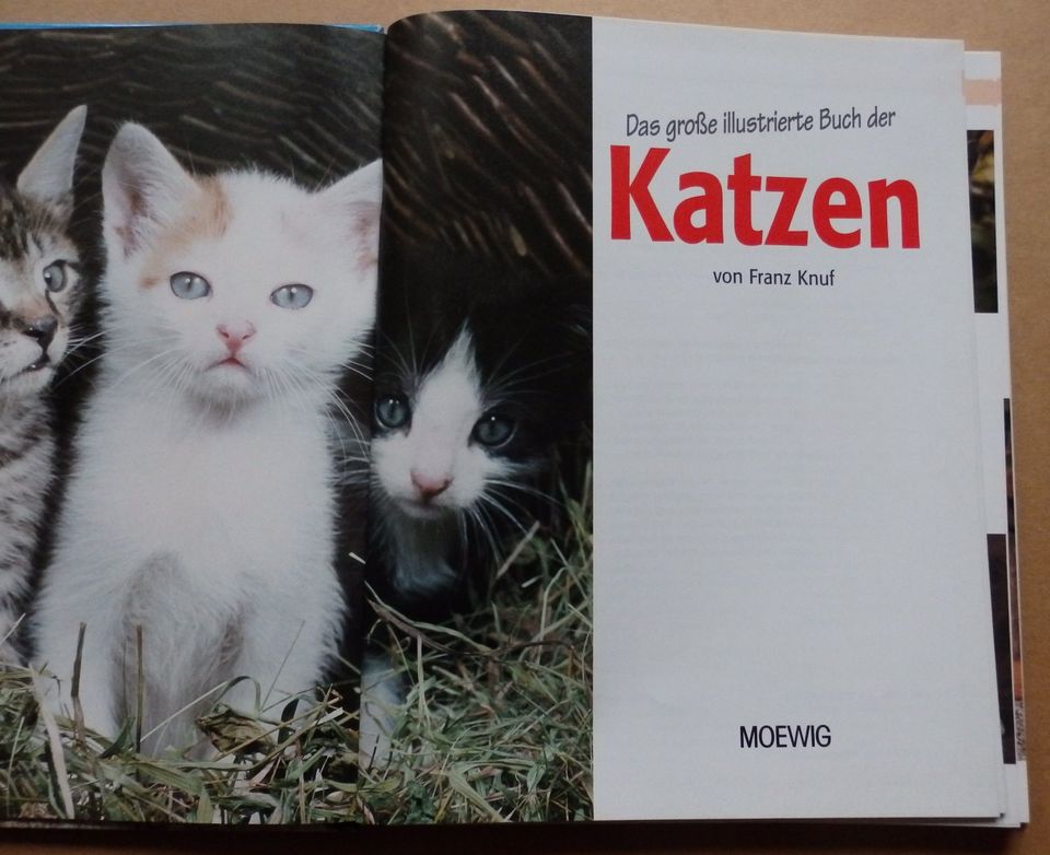 "Das große illustrierte Buch der Katzen", Ratgeber für Anfänger in Dresden