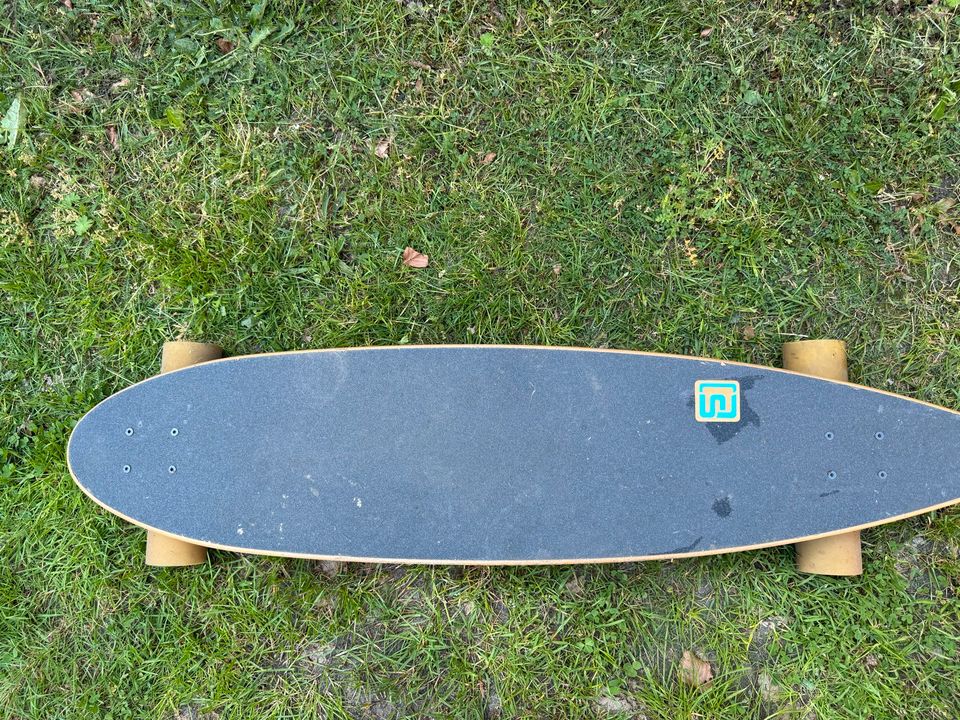 Longboard 120cm in Hodenhagen