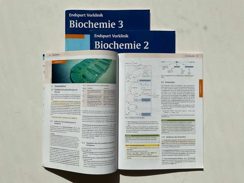 Endspurt Vorklinik Biochemie 2. Auflage in Hamburg