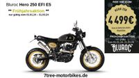 Bluroc Hero 250 | NEU | Scrambler | gold black | no Verve Moto Schleswig-Holstein - Siebenbäumen Vorschau