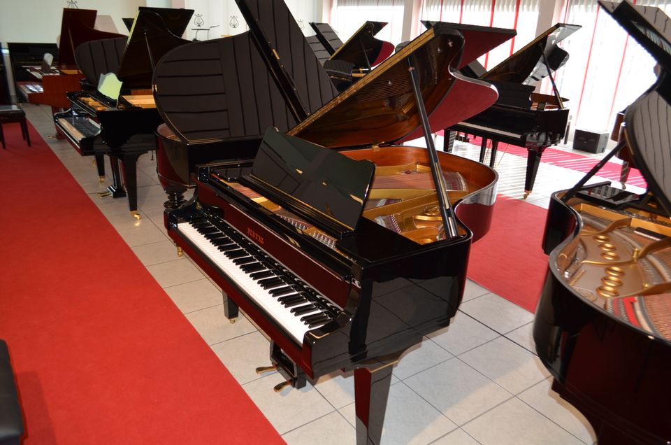 Schimmel Flügel Modell Pleyel Modell 175 in Michelau i. OFr.