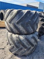 Michelin Reifen 750/60 R26 Traktorreifen 0208-AF Nordrhein-Westfalen - Altenberge Vorschau