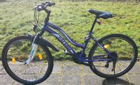 Talson Mountainbike 26 Zoll Fahrrad Niedersachsen - Oldenburg Vorschau