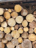 1 RM Käferholz, Brennholz vom Polder 1m lang Thüringen - Schleusingen Vorschau