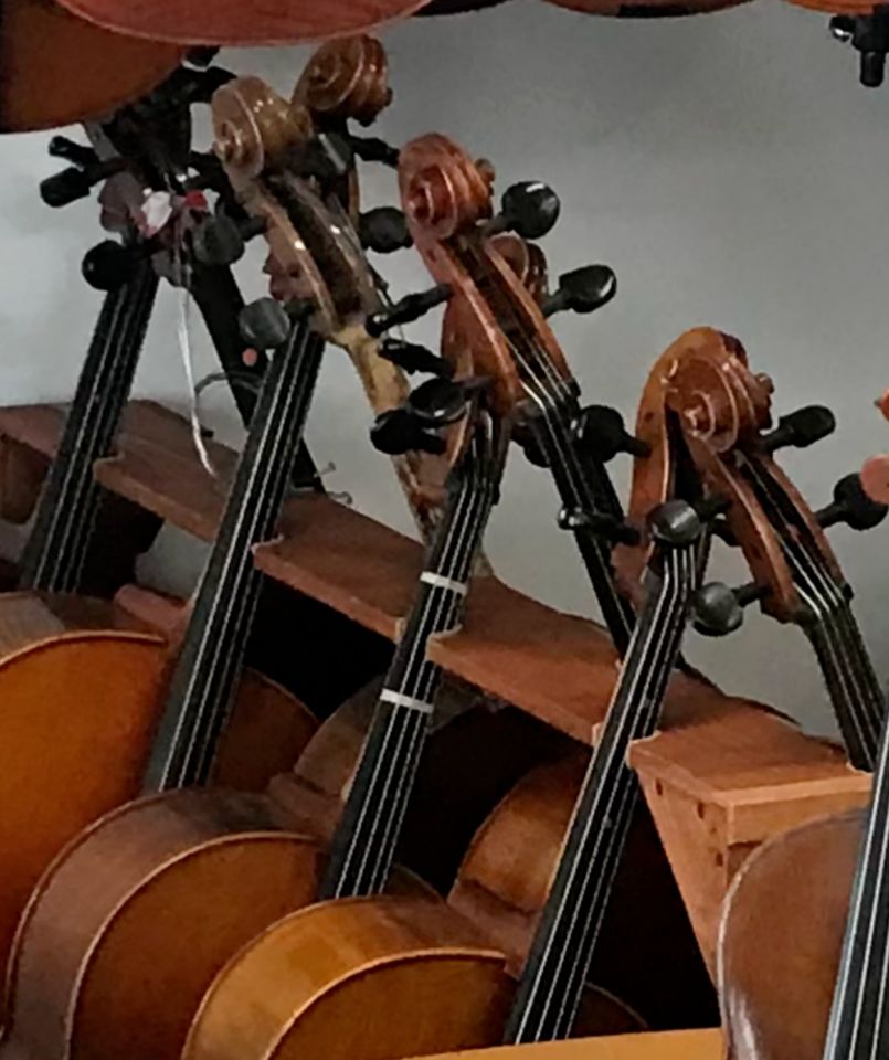 Celloständer für 8 Celli x 3! Für Musikschule oder Geigenbauer in Tanne