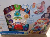Vtech lauflernwagen Spielzeug Baby Nordrhein-Westfalen - Paderborn Vorschau