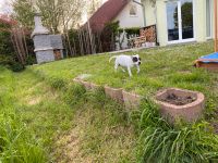 Suche Garten Landschaftsbauer/Pflasterer/Tiefbau Baden-Württemberg - Aglasterhausen Vorschau