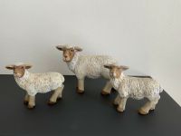 3 Schafe zur Dekoration Nordrhein-Westfalen - Kevelaer Vorschau