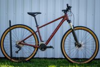 SALE⭐NEU Focus Whistler MTB Mountainbike Rot 29" L46 Hessen - Fränkisch-Crumbach Vorschau