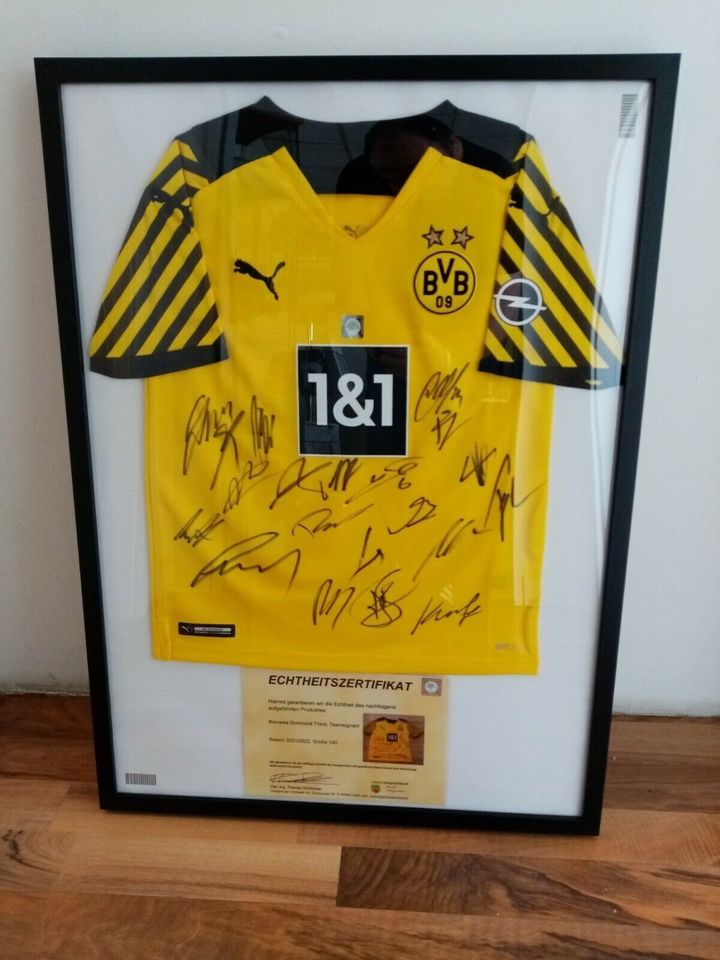 VFL Wolfsburg Shirt Max Grün signiert Fußball Bundesliga Kappa XL in Lünen
