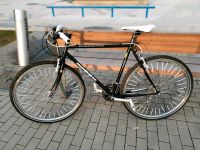 Mongoose Dynametric 735 Herrenrad 28 Zoll Fitnessbike Gravel Bike Niedersachsen - Bad Pyrmont Vorschau