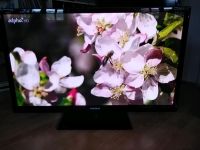 Samsung Fernseher TV 129,5cm 51 Zoll Serie 5 PS51D550 3D 1080p HD Hessen - Wolfhagen  Vorschau