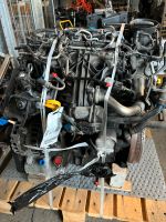 Motor VW Audi Skoda  2.0TDI, CFG Brandenburg - Frankfurt (Oder) Vorschau