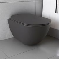 Wand- Hänge- WC ohne Spülrand Anthrazit matt RimOff Nordrhein-Westfalen - Kierspe Vorschau