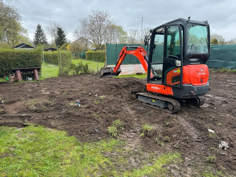 ‼️Baggerarbeiten/Garten- und Landschaftsbau/Rollrasen*GÜNSTIG*‼️ in Bamberg