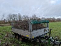 Abfuhr und Entsorgung von Sträucher Gartenabfällen Grünschnitt Niedersachsen - Großheide Vorschau