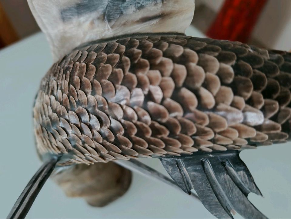 Dekorativer Fisch aus  Horn , handgeschnitzt in Neubrandenburg