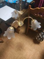 Kronleuchter mit 3 Glaslampe Hängelampe Hängeleuchte Deckenlampe Rheinland-Pfalz - Landstuhl Vorschau