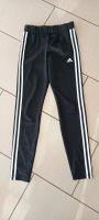 Sportleggins Adidas Leggins Sporthose Niedersachsen - Hessisch Oldendorf Vorschau